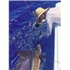 Image 2 : 5-NIGHT + 2-DAYS FISHING FOR 4 - LOS SUENOS RESORT & MARINA - COSTA RICA