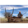Image 16 : 7-DAY NAMIBIAN SAFARIS FOR 1 HUNTER AND 1 NON-HUNTER