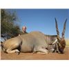 Image 18 : 7-DAY NAMIBIAN SAFARIS FOR 1 HUNTER AND 1 NON-HUNTER