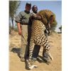 7-DAY NAMIBIAN SAFARIS FOR 1 HUNTER AND 1 NON-HUNTER