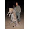 Image 5 : 7-DAY NAMIBIAN SAFARIS FOR 1 HUNTER AND 1 NON-HUNTER