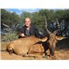 Image 7 : 7-DAY NAMIBIAN SAFARIS FOR 1 HUNTER AND 1 NON-HUNTER