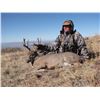 Image 3 : 10-DAY ELK, MULE DEER & CARMEN MOUNATIN WHITETAIL DEER HUNT FOR 1 HUNTER AND 1 NON-HUNTER IN MEXICO!
