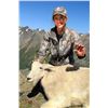 9-DAY MOUNTAIN GOAT OR CARIBOU HUNT IN BRITISH COLUMBIA FOR1 HUNTER