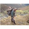 Image 3 : KLUANE FIRST NATION DALL’S SHEEP PERMIT
