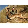 Image 8 : $8,000 (US) CREDIT TOWARDS A CUSTOMIZED MOUNTAIN HUNT IN SPAIN FOR 2 HUNTERS
