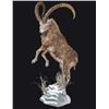 Image 8 : LIFE-SIZE SHEEP OR GOAT MOUNT