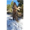 5-DAY MOUNTAIN LION HUNT IN UTAH FOR 1 HUNTER