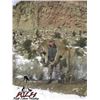 Image 7 : 5-DAY MOUNTAIN LION HUNT IN UTAH FOR 1 HUNTER