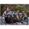 Image 2 : 4-DAY EUROPEAN MOUFLON HUNT FOR 1 HUNTER IN THE FRENCH COUNTRYSIDE