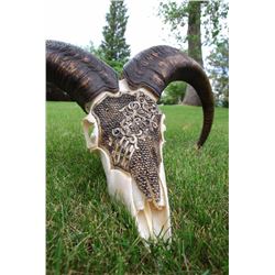 “WILD SHEEP AOUDAD SKULL CARVING”