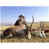 Image 3 : 7-DAY SOUTH AFRICAN HUNT FOR 1 HUNTER AND 1 NON-HUNTER