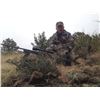 Image 2 : 5-DAY TROPHY ARIZONA COUES/WHITETAIL DEER HUNT FOR 2 HUNTERS WITH DIAMOND OUTFITTERS OF ARIZONA