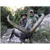 4-DAY MOUNTAIN HUNT IN NE SPAIN & WINE TASTING/SIGHTSEEING AROUND BARCELONA, SPAIN FOR 2 HUNTERS AND