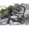 Image 2 : 4-DAY MOUNTAIN HUNT IN NE SPAIN & WINE TASTING/SIGHTSEEING AROUND BARCELONA, SPAIN FOR 2 HUNTERS AND