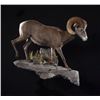Image 3 : LIFE-SIZE SHEEP WALL MOUNT
