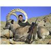 Image 2 : UP TO 7-DAYS OF HUNTING AN ALTAI IBEX (ANY SIZE) IN MONGOLIA (Trophy Fee Included)