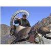 Image 8 : UP TO 7-DAYS OF HUNTING AN ALTAI IBEX (ANY SIZE) IN MONGOLIA (Trophy Fee Included)