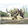 Image 2 : 7-DAY SONORAN MEXICO MULE DEER HUNT FOR 1 HUNTER