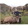 Image 8 : 4-DAY NEW ZEALAND HUNT FOR TWO HUNTERS INCLUDING THE TROPHY FEES AND TROPHY CREDIT AND AN AIRLINE TI