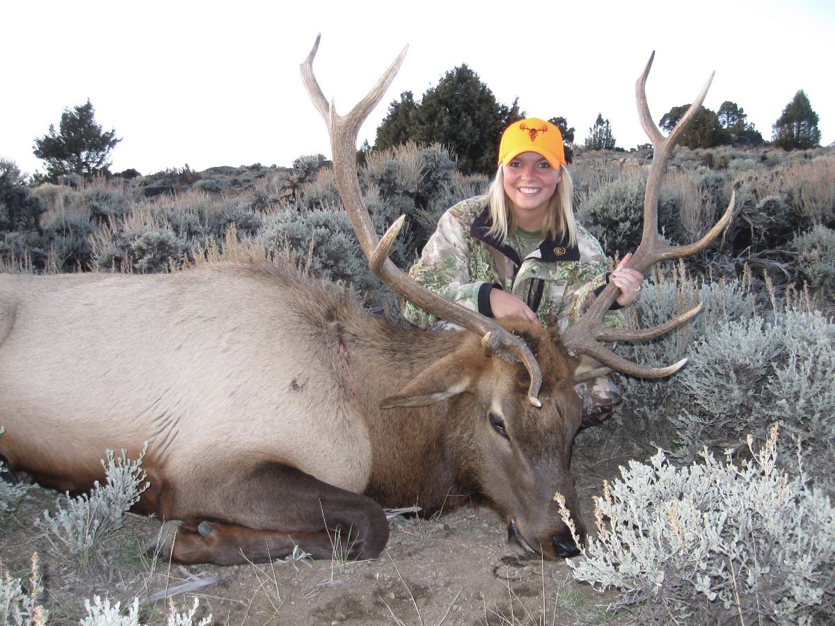 5 Day COLORADO ARCHERY ELK HUNT FOR 1 HUNTER Semi Guided WSF World 5 Day COLORADO ARCHERY ELK HUNT FOR 1 HUNTER Semi Guided WSF World