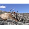 Image 2 : 5-Day COLORADO ARCHERY ELK HUNT FOR 1 HUNTER - Semi Guided