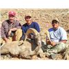 Image 2 : NAVAJO NATION DESERT BIGHORN PERMIT