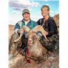 Image 3 : NAVAJO NATION DESERT BIGHORN PERMIT