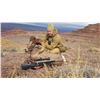 Image 8 : NAVAJO NATION DESERT BIGHORN PERMIT