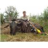 Image 2 : 7-DA7 KUDU, BUSHBUCK, MTN. REEDBUCK & WILDEBEEST FOR  2 HUNTERS AND 2 NON HUNTERS
