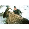 Image 2 : 6-DAY BULL TAHR HUNT FOR 2 HUNTERS IN NEW ZEALAND