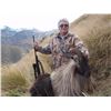 Image 3 : 6-DAY BULL TAHR HUNT FOR 2 HUNTERS IN NEW ZEALAND