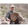 Image 14 : DESERT BIGHORN SHEEP PERMIT & HUNT EL VIZCAINO BIOSPHERE RESERVE, BAJA CALIFORNIA SUR, MEXICO