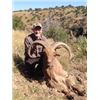 Image 2 : 5-DAY AOUDAD SHEEP HUNT ON THE WILLIAMS RANCH IN TEXAS FOR 1 HUNTER