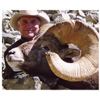 Image 11 : TAOS PUEBLO ROCKY MOUNTAIN BIGHORN SHEEP PERMIT