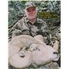 Image 12 : TAOS PUEBLO ROCKY MOUNTAIN BIGHORN SHEEP PERMIT