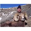 Image 6 : TAOS PUEBLO ROCKY MOUNTAIN BIGHORN SHEEP PERMIT
