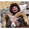 Image 9 : TAOS PUEBLO ROCKY MOUNTAIN BIGHORN SHEEP PERMIT