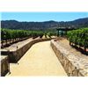 Image 6 : MARC MONDAVI HOSTS A DINNER FOR 8 IN BEAUTIFUL NAPA VALLEY