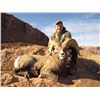 UTAH DIRTY DEVIL/ HENRY MOUNTAINS/LA SAL/ SAN JUAN DESERT SHEEP PERMIT