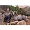 Image 2 : UTAH DIRTY DEVIL/ HENRY MOUNTAINS/LA SAL/ SAN JUAN DESERT SHEEP PERMIT