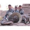 Image 4 : UTAH DIRTY DEVIL/ HENRY MOUNTAINS/LA SAL/ SAN JUAN DESERT SHEEP PERMIT