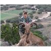 Image 1 : 4-DAY TEXAS AOUDAD HUNT AT RECORDBUCK RANCH WITH WWO ADVENTURES ENABLED TRIP