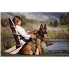 Image 1 : FRIEND, BEST PROTECTION, BEST OPTION - SVALINN DOG
