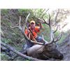 Image 11 : 2016 NEBRASKA GAME AND  PARKS COMMISSION ELK TAG
