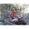 Image 11 : 2016 NEBRASKA GAME AND  PARKS COMMISSION ELK TAG