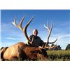 Image 12 : 2016 NEBRASKA GAME AND  PARKS COMMISSION ELK TAG