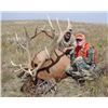 Image 13 : 2016 NEBRASKA GAME AND  PARKS COMMISSION ELK TAG