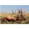 2016 NEBRASKA GAME AND  PARKS COMMISSION ELK TAG