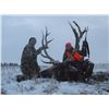 Image 7 : 2016 NEBRASKA GAME AND  PARKS COMMISSION ELK TAG